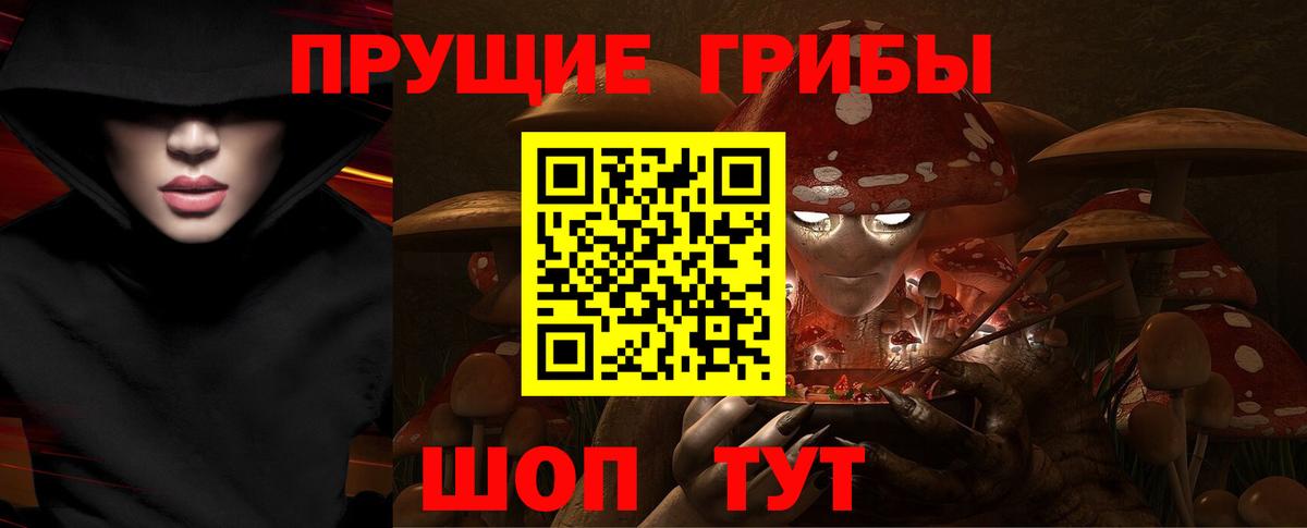 Псилоцибиновые грибы GOLDEN TEACHER Берёзовский