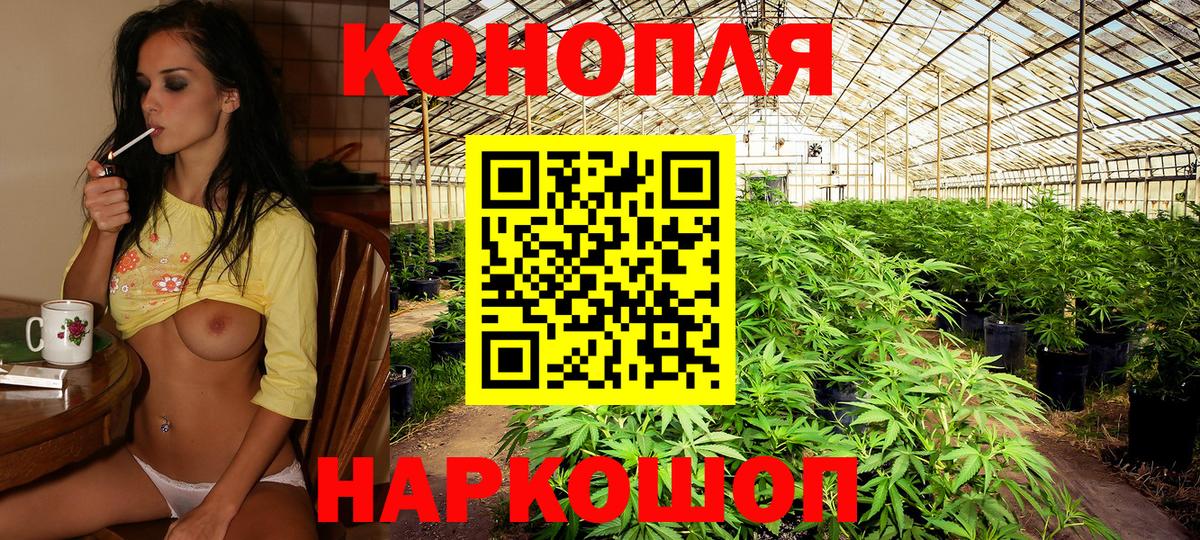 Каннабис сатива  Бошки марихуана ГИДРОПОН  Вход с VPN  Конопля сатива  Берёзовский 
